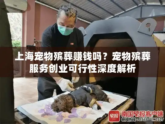 上海宠物殡葬赚钱吗？宠物殡葬服务创业可行性深度解析