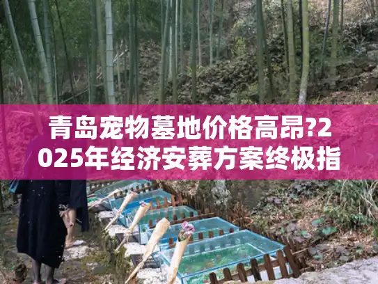 青岛宠物墓地价格高昂?2025年经济安葬方案终极指南