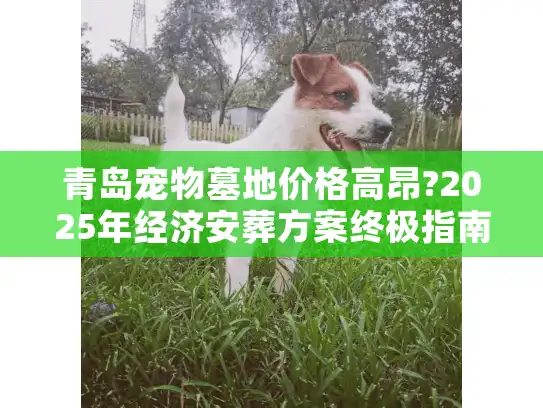 青岛宠物墓地价格高昂?2025年经济安葬方案终极指南