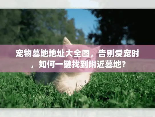 宠物墓地地址大全图，告别爱宠时，如何一键找到附近墓地？