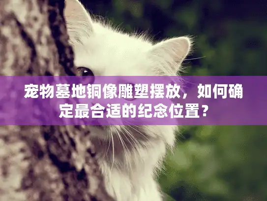 宠物墓地铜像雕塑摆放，如何确定最合适的纪念位置？