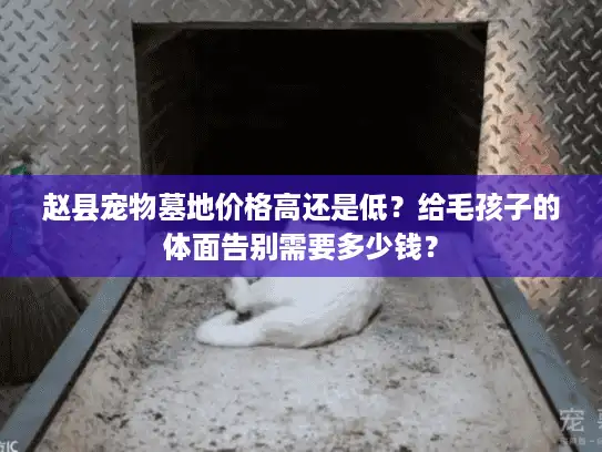 赵县宠物墓地价格高还是低？给毛孩子的体面告别需要多少钱？