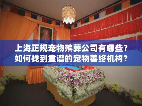 上海正规宠物殡葬公司有哪些？如何找到靠谱的宠物善终机构？