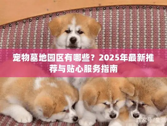 宠物墓地园区有哪些？2025年最新推荐与贴心服务指南