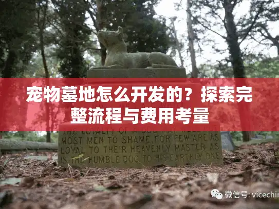 宠物墓地怎么开发的？探索完整流程与费用考量
