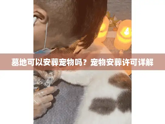 墓地可以安葬宠物吗？宠物安葬许可详解