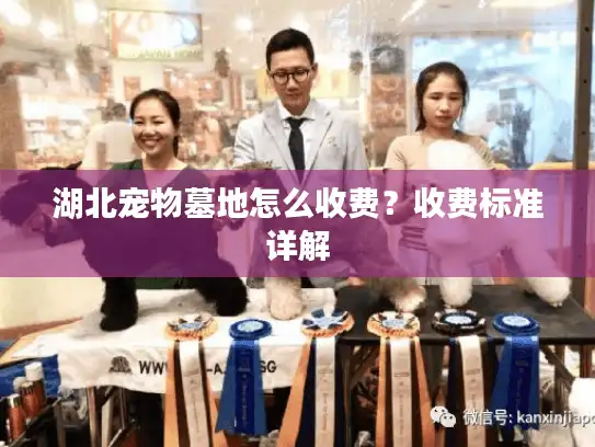 湖北宠物墓地怎么收费？收费标准详解