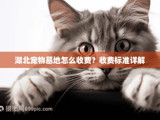 湖北宠物墓地怎么收费？收费标准详解