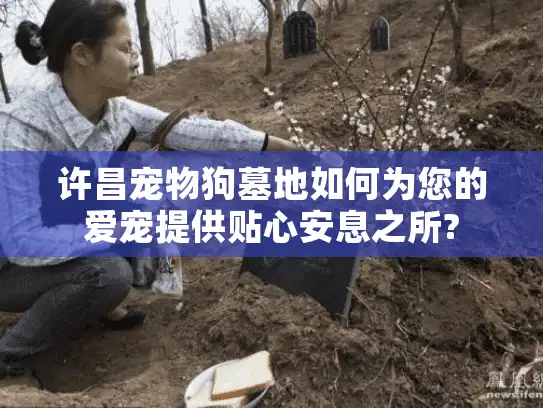 许昌宠物狗墓地如何为您的爱宠提供贴心安息之所?
