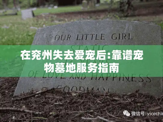 在兖州失去爱宠后:靠谱宠物墓地服务指南