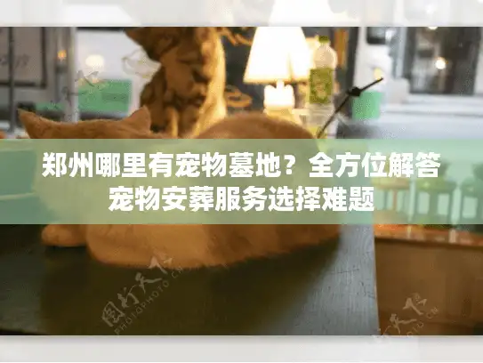 郑州哪里有宠物墓地？全方位解答宠物安葬服务选择难题