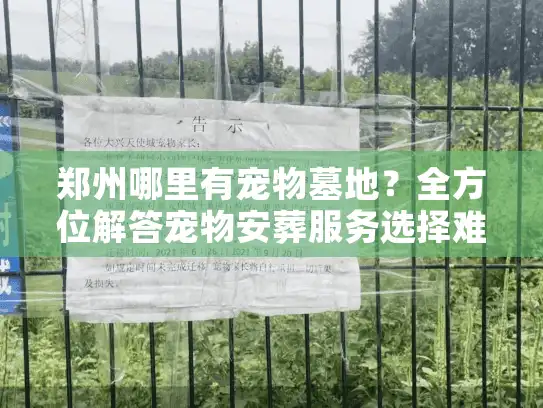 郑州哪里有宠物墓地？全方位解答宠物安葬服务选择难题