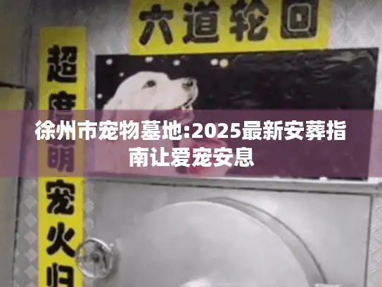 徐州市宠物墓地:2025最新安葬指南让爱宠安息