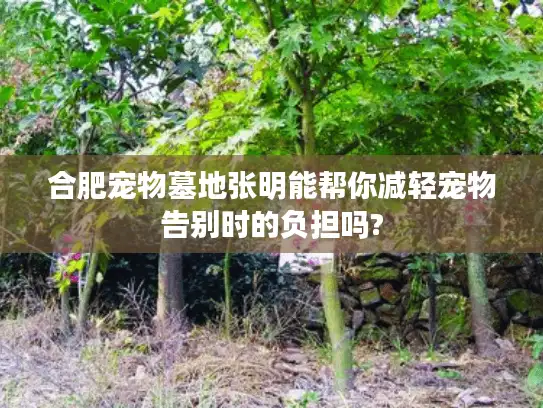 合肥宠物墓地张明能帮你减轻宠物告别时的负担吗?