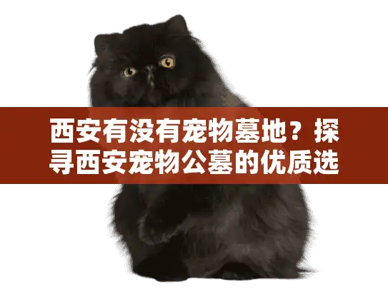 西安有没有宠物墓地？探寻西安宠物公墓的优质选择