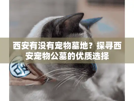 西安有没有宠物墓地？探寻西安宠物公墓的优质选择