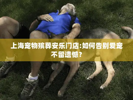上海宠物殡葬安乐门店:如何告别爱宠不留遗憾？