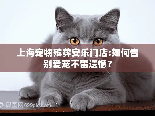 上海宠物殡葬安乐门店:如何告别爱宠不留遗憾？