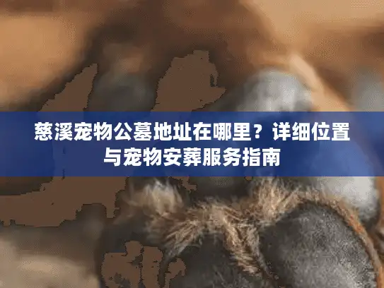 慈溪宠物公墓地址在哪里？详细位置与宠物安葬服务指南