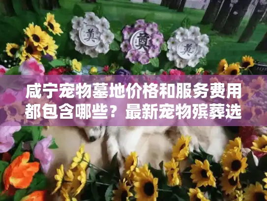 咸宁宠物墓地价格和服务费用都包含哪些？最新宠物殡葬选择指南