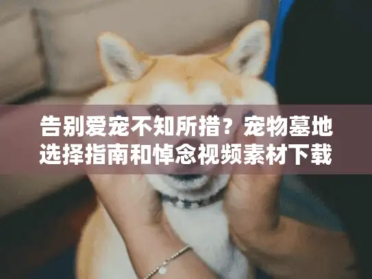 告别爱宠不知所措？宠物墓地选择指南和悼念视频素材下载