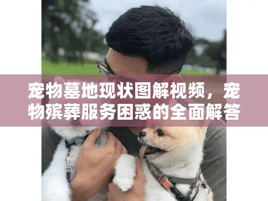 宠物墓地现状图解视频，宠物殡葬服务困惑的全面解答指南