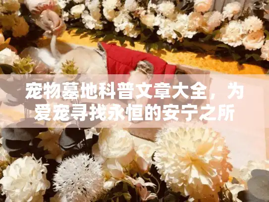 宠物墓地科普文章大全，为爱宠寻找永恒的安宁之所