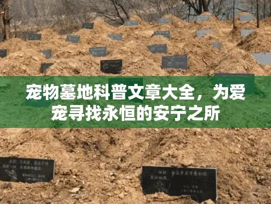 宠物墓地科普文章大全，为爱宠寻找永恒的安宁之所
