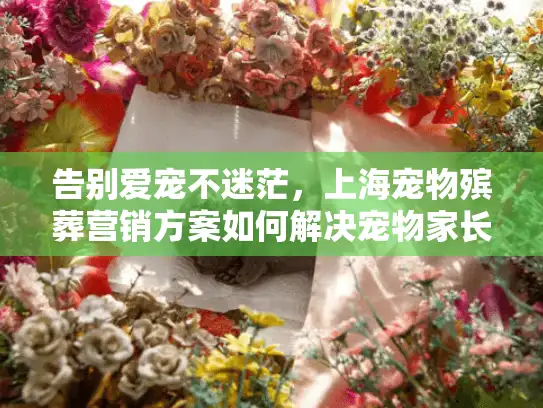 告别爱宠不迷茫，上海宠物殡葬营销方案如何解决宠物家长的3大痛点？