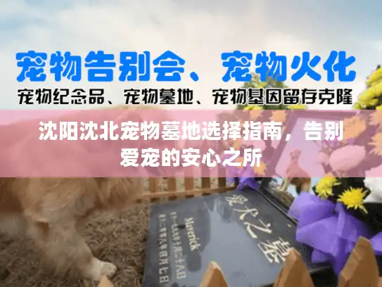 沈阳沈北宠物墓地选择指南，告别爱宠的安心之所