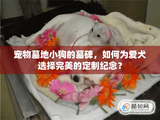 宠物墓地小狗的墓碑，如何为爱犬选择完美的定制纪念？