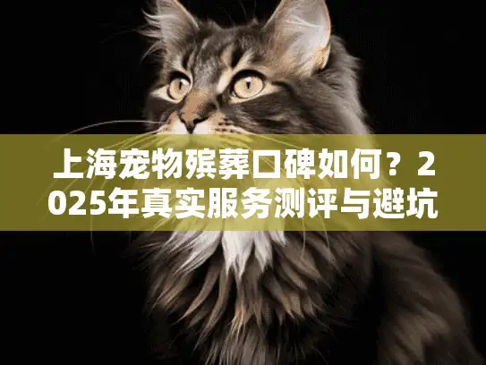 上海宠物殡葬口碑如何？2025年真实服务测评与避坑指南