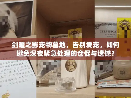 刽曜之影宠物墓地，告别爱宠，如何避免深夜紧急处理的仓促与遗憾？