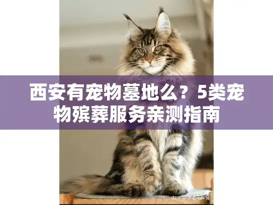 西安有宠物墓地么？5类宠物殡葬服务亲测指南