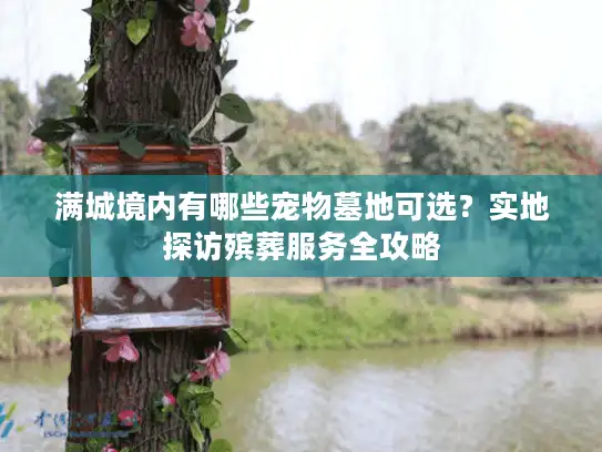 满城境内有哪些宠物墓地可选？实地探访殡葬服务全攻略