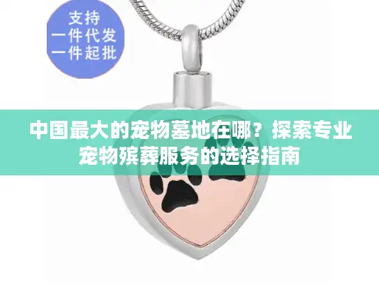 中国最大的宠物墓地在哪？探索专业宠物殡葬服务的选择指南