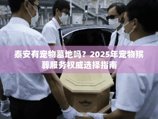 泰安有宠物墓地吗？2025年宠物殡葬服务权威选择指南