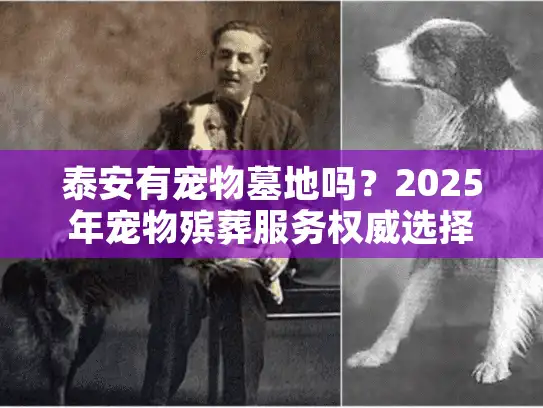 泰安有宠物墓地吗？2025年宠物殡葬服务权威选择指南