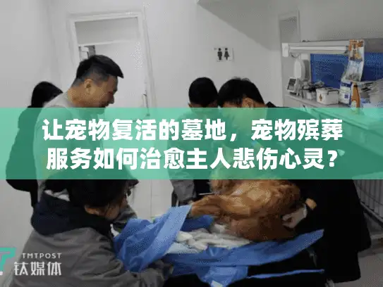 让宠物复活的墓地，宠物殡葬服务如何治愈主人悲伤心灵？