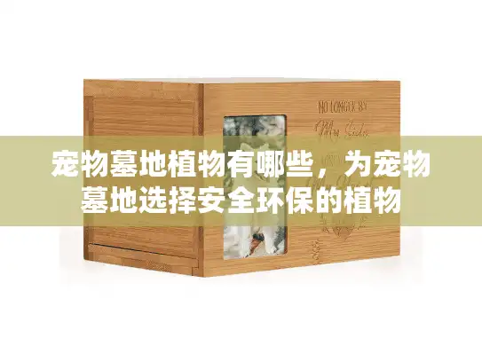 宠物墓地植物有哪些，为宠物墓地选择安全环保的植物