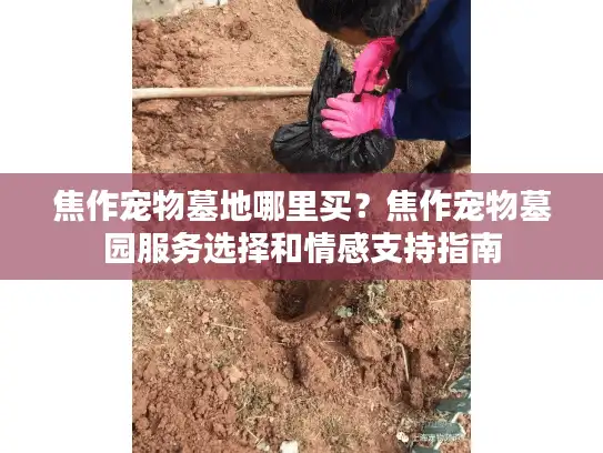 焦作宠物墓地哪里买？焦作宠物墓园服务选择和情感支持指南