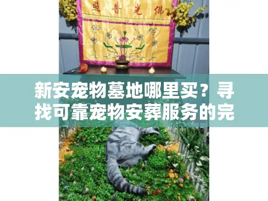 新安宠物墓地哪里买？寻找可靠宠物安葬服务的完整指南