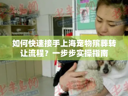 如何快速接手上海宠物殡葬转让流程？一步步实操指南