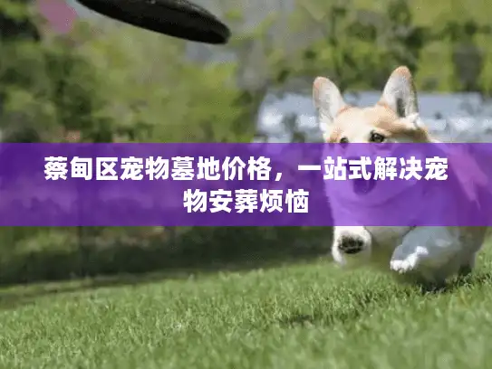 蔡甸区宠物墓地价格，一站式解决宠物安葬烦恼