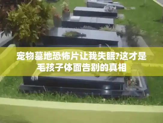 宠物墓地恐怖片让我失眠?这才是毛孩子体面告别的真相