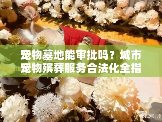 宠物墓地能审批吗？城市宠物殡葬服务合法化全指南