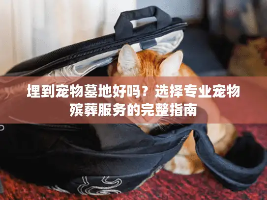 埋到宠物墓地好吗？选择专业宠物殡葬服务的完整指南