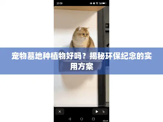 宠物墓地种植物好吗？揭秘环保纪念的实用方案