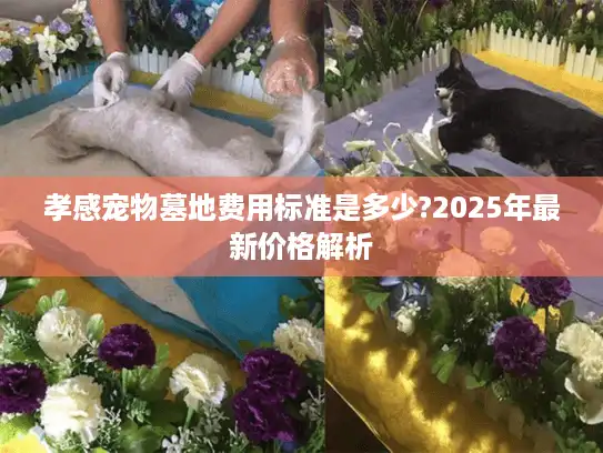 孝感宠物墓地费用标准是多少?2025年最新价格解析