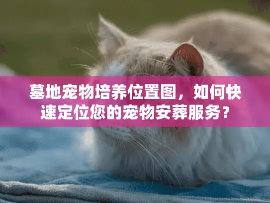 墓地宠物培养位置图，如何快速定位您的宠物安葬服务？